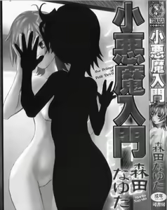 Page 3 of Koakuma Nyuumon - preview thumbnail