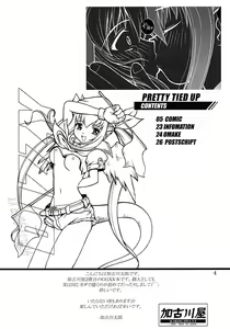 Page 3 of PRETTY TIED UP - preview thumbnail