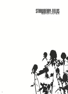 Page 3 of STRAWBERRY-FIELDS - preview thumbnail