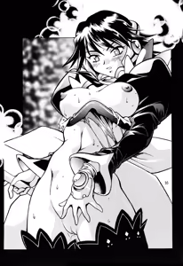 Page 34 of CORRECTOR - preview thumbnail