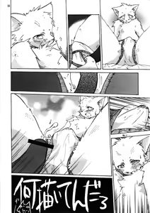 Page 35 of Brief! - preview thumbnail