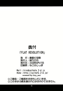 Page 30 of FLAT REVOLUTION - preview thumbnail
