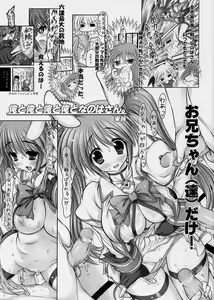 Page 2 of New Nanoha-san. + Shamal-san. - preview thumbnail
