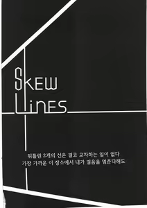 skew Lines — hentai manga cover on Fhentai