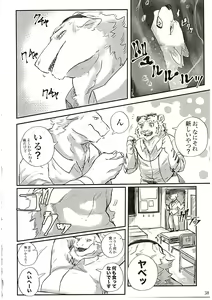 Page 38 of MAWS 3 - preview thumbnail