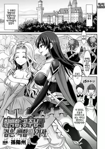Shirayuri-hime to Kuroyuri no Kishi | 흰백합 공주님과 검은 백합의 기사 — hentai manga cover on Fhentai