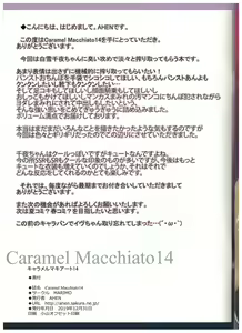 Page 15 of Caramel Macchiato 14 - preview thumbnail