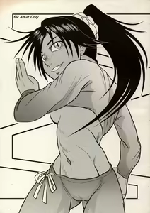 Yoruichi Nyan no Hon - hentai manga cover image