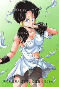 Page 26 of Videl LOVE - preview thumbnail