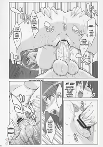 Page 15 of RENEWS - preview thumbnail