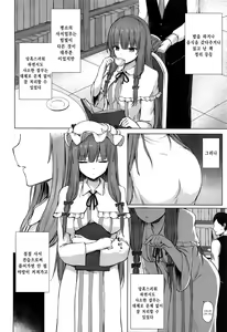 Page 3 of Patchouli Knowledge Kaihatsu Kiroku | 파츄리 널릿지의 쾌발기록 - preview thumbnail