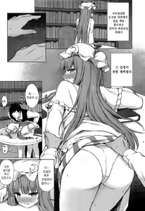Page 4 of Patchouli Knowledge Kaihatsu Kiroku | 파츄리 널릿지의 쾌발기록 - preview thumbnail