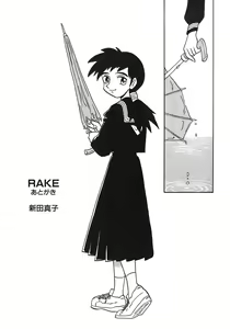 Page 168 of RAKE - preview thumbnail