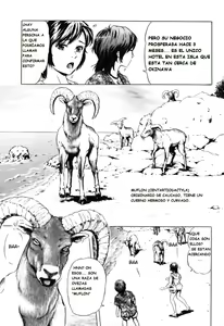 Page 3 of Nangoku no Mouflon | Muflon en El Sur - preview thumbnail