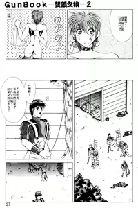 Page 34 of Gunbook 2 - preview thumbnail