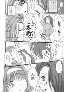 Page 13 of Acho Pri 2 - preview thumbnail