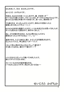 Page 3 of Yoruichi Nyan no Hon | Yoruichi Nyan Book - preview thumbnail