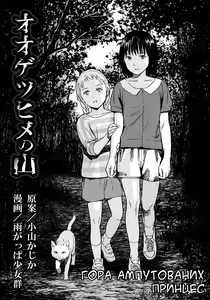 Page 3 of Oogetsuhime no Yama | Гора ампутованих принцес - preview thumbnail