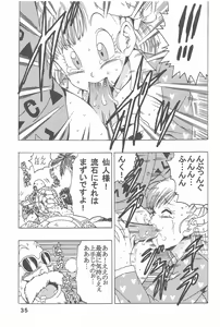 Page 36 of Bulma no Saikyou e no Michi - preview thumbnail