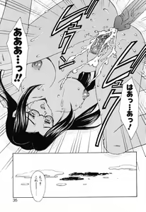 Page 34 of EDEN - preview thumbnail