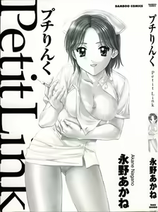 Page 2 of Petit Link - preview thumbnail