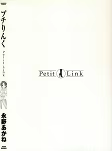 Page 100 of Petit Link - preview thumbnail