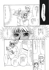 Page 28 of Hentai Inran - preview thumbnail