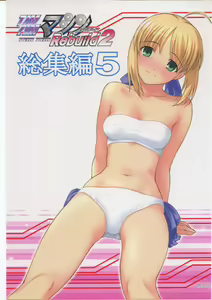 TIMTIM MACHINE Rebuild 2 Soushuuhen 5 - hentai manga cover image