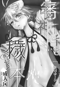 Page 3 of Saniwa o Kegasu Hon - preview thumbnail