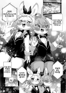 Page 3 of Youkoso! Melty Bunny's e side Boys | 어서 오세요! Melty Bunny's e side Boys - preview thumbnail