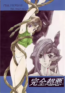 perfect final bad - hentai manga cover image