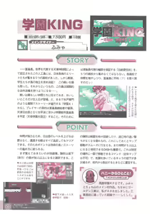 Page 120 of Official Alicesoft Full Completion Guide 2 - preview thumbnail