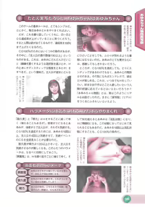 Page 157 of Official Alicesoft Full Completion Guide 2 - preview thumbnail