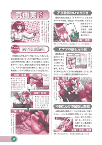 Page 42 of Official Alicesoft Full Completion Guide 2 - preview thumbnail