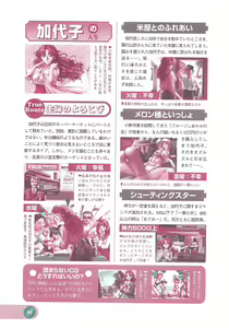 Page 44 of Official Alicesoft Full Completion Guide 2 - preview thumbnail