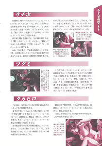 Page 89 of Official Alicesoft Full Completion Guide 2 - preview thumbnail