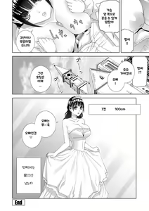 Page 22 of Hinnyuu (Imouto) o Kyonyuu ni Shite Yome ni Shite Mita | 빈유 (의붓)여동생을 거유로 해서 아내로 삼았다 Ch. 1-3 - preview thumbnail