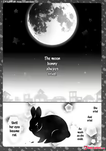 Page 3 of Nyancology 4 -Usami-san To Himitsu no Hokenshitsu- | Nyancology 4 -Usami-san And The Secret School Infirmary - preview thumbnail