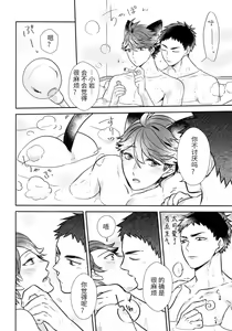 Page 17 of Iwa-chan no Neko ni Naritai 5 | 我想成为小岩的猫5 - preview thumbnail