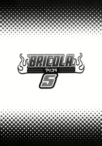 Page 23 of BRICOLA 5 - preview thumbnail