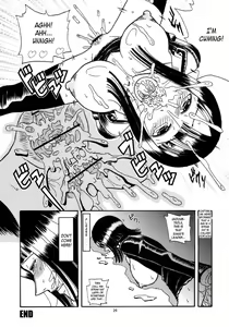 Page 27 of Robin SP - preview thumbnail