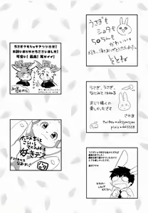 Page 97 of USATAN - preview thumbnail