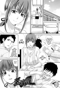Hankouki — hentai manga cover on Fhentai