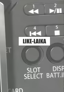 Page 3 of LIKE:LAIKA - preview thumbnail