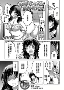 Onee-chan ni Makasete! — hentai manga cover on Fhentai