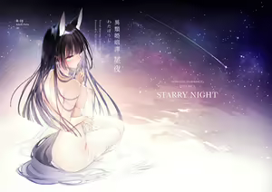 Irui Konintan Seiya - Foreign Marriage Volume. 2 - Starry Night — hentai manga cover on Fhentai