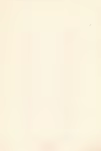 Page 3 of RO COCO - preview thumbnail