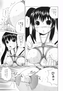 Page 33 of Seikan Dorei - preview thumbnail