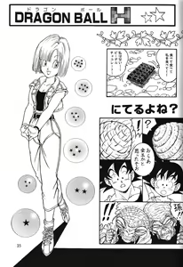 Page 34 of DragonBall H Maki San - preview thumbnail
