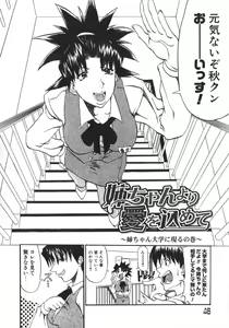 Page 46 of Neechan yori Ai wo Komete To Heart - preview thumbnail
